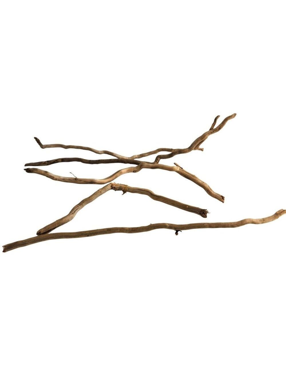 Natural Driftwood Pieces For Crafting & Home Decor 5 pieces